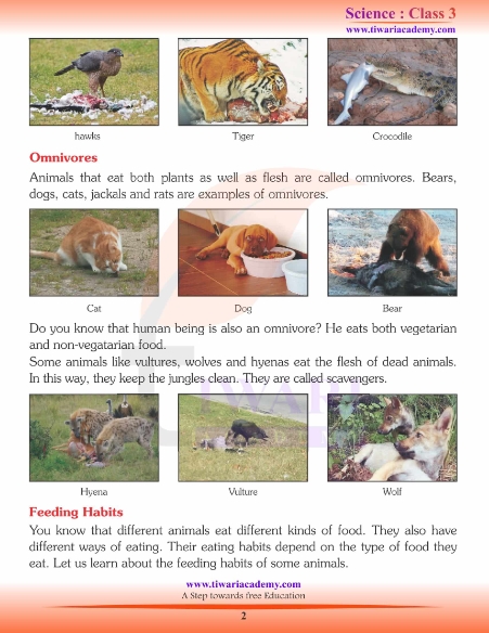 food and feeding habits of animals class 3 worksheet