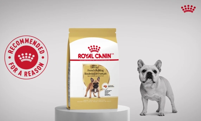 royal canin french bulldog