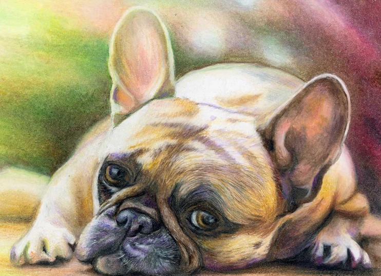 french bulldog painting
