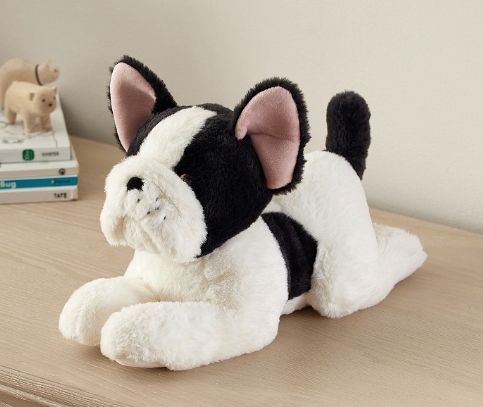 french bulldog teddy
