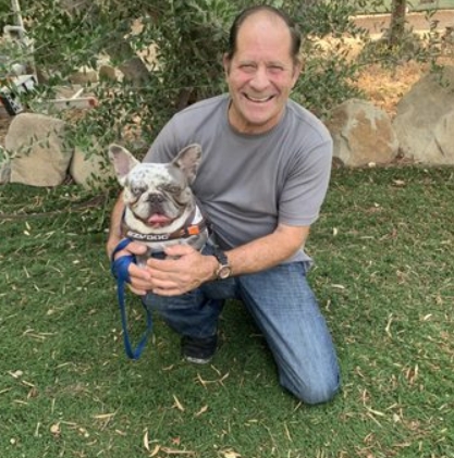 top french bulldog breeders