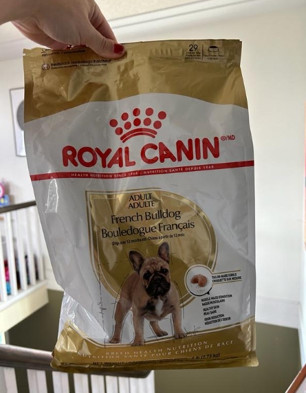 bulldog royal canin