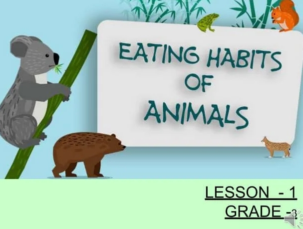 food and feeding habits of animals