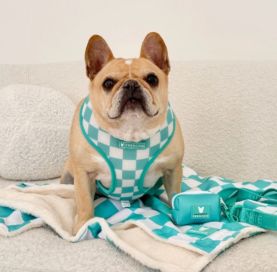 frenchiestore