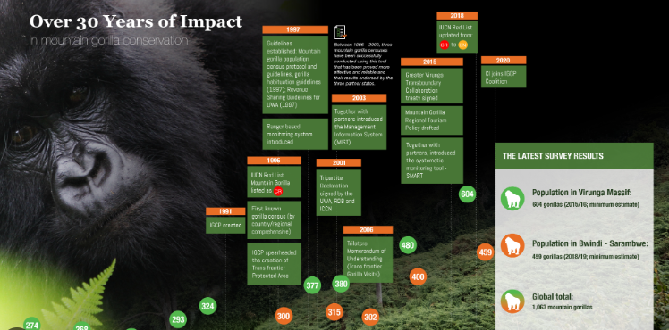 Gorilla Population Decline and Conservation Efforts