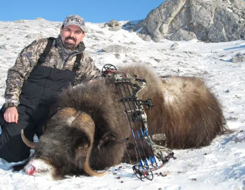 What Do Musk Oxen Eat