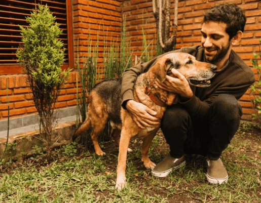 Understanding Fear-Based Behavior in Rescued Stray Dogs