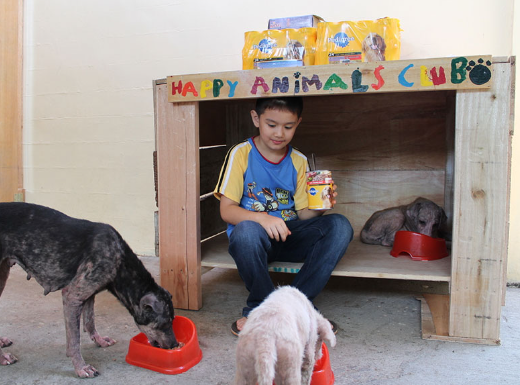 Helping Children Understand Stray Dog Rescue