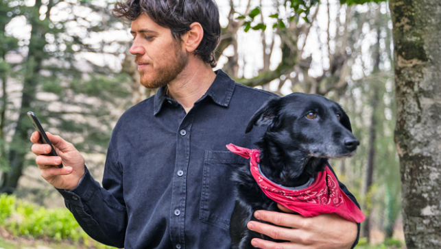 When to Call Animal Control During a Stray Dog Rescue