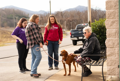 How Businesses Can Partner With Stray Dog Rescue Efforts