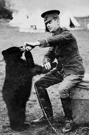 most famous bear4